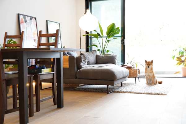 House sit in Sydney, NSW, Australia