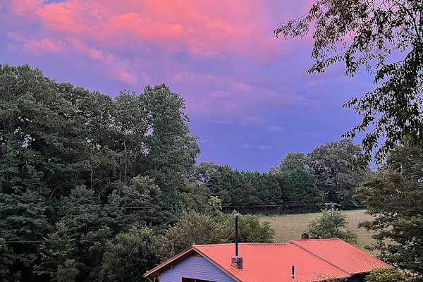 House sit in Asheville, NC, US