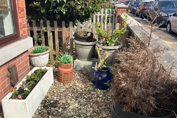 House sit in Stretford, United Kingdom