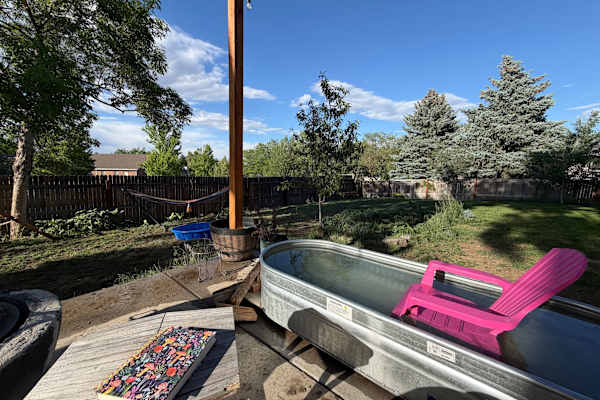 House sit in Arvada, CO, US