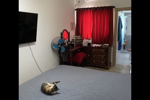 House sit in Mosta, Malta