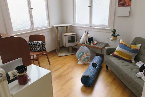 House sit in Stuttgart, Germany