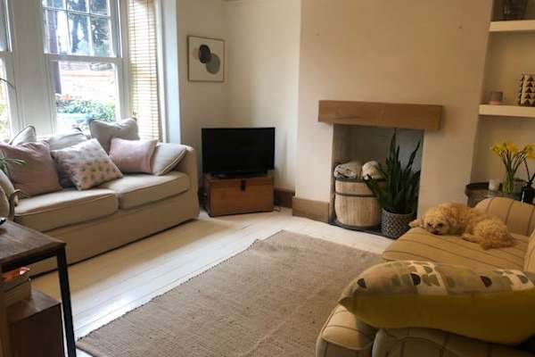 House sit in Worthing, United Kingdom