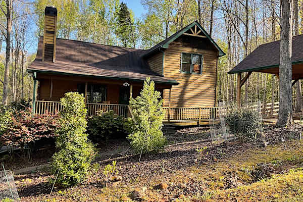House sit in Dahlonega, GA, US