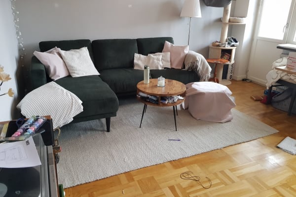 House sit in Malmö, Sweden