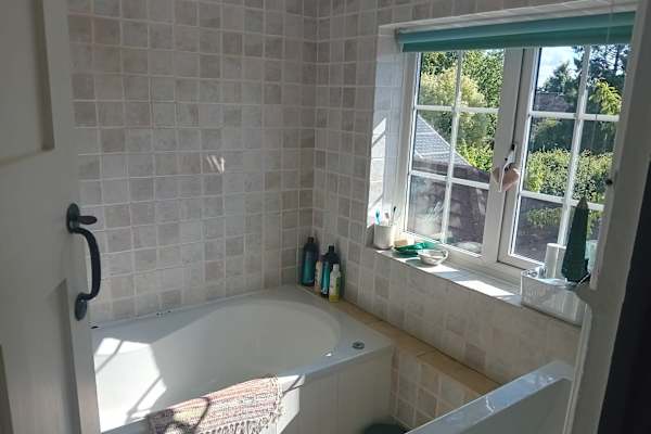 House sit in Norwich, United Kingdom