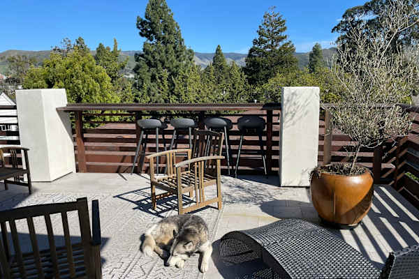 House sit in San Luis Obispo, CA, US