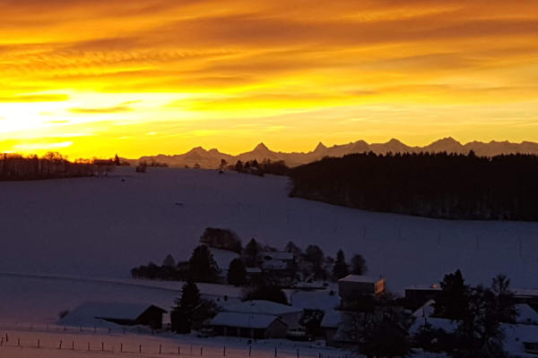 House sit in La Neuveville, Switzerland