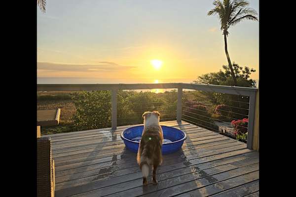 House sit in Kawaihae, HI, US