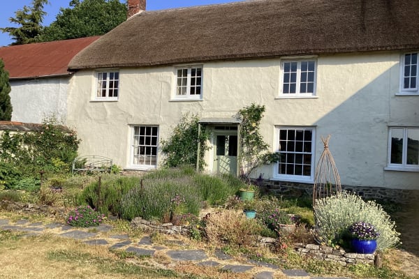 House sit in South Molton, United Kingdom