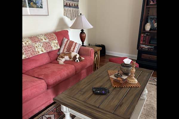 House sit in Leesburg, FL, US