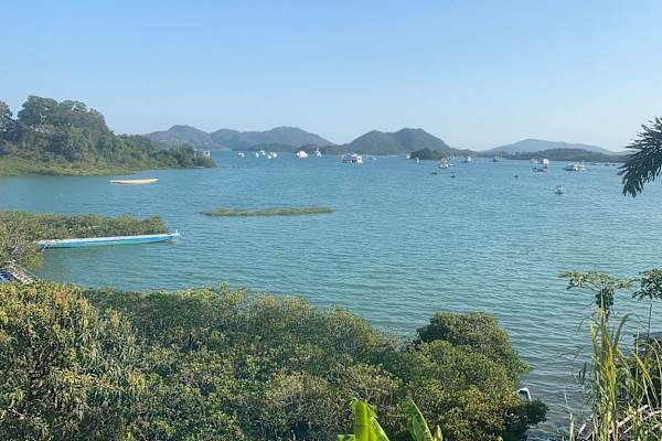 House sit in Sai Kung, Hong Kong