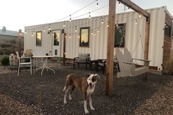 House sit in Fort Collins, CO, US