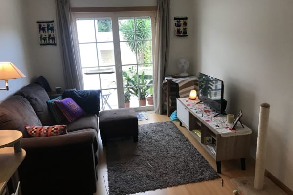 House sit in Aveiro, Portugal