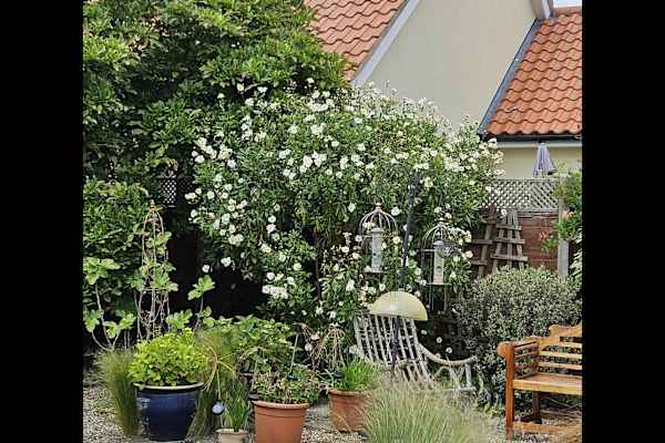 House sit in Ipswich, United Kingdom