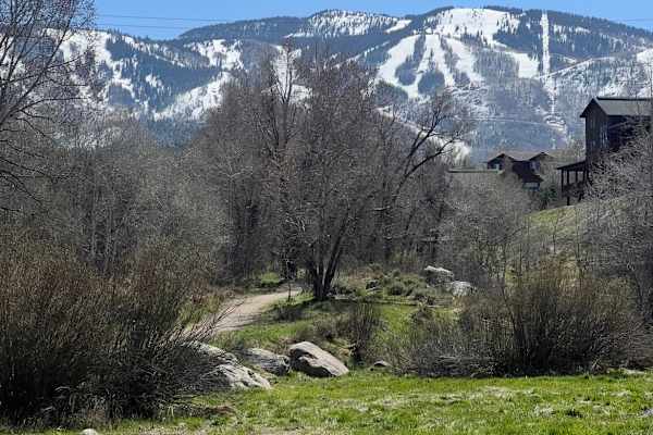 House sit in Steamboat Springs, CO, US