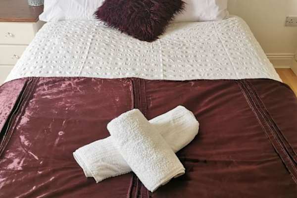 House sit in Lucan, Ireland