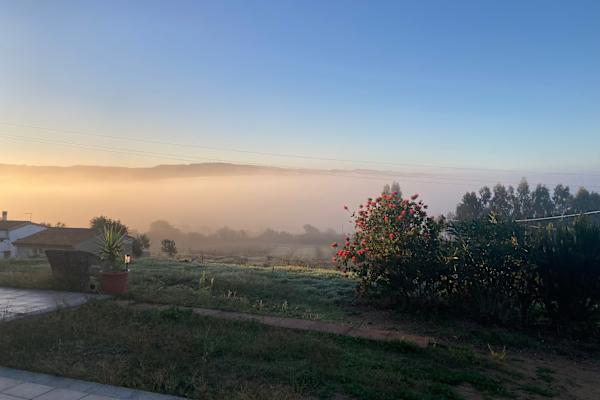 House sit in Perfugas, Italy