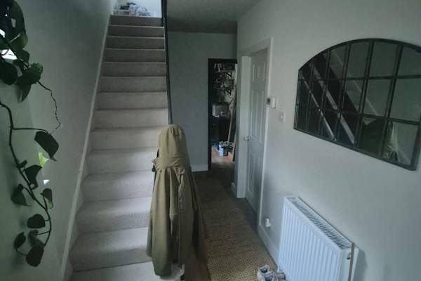 House sit in Bristol, United Kingdom