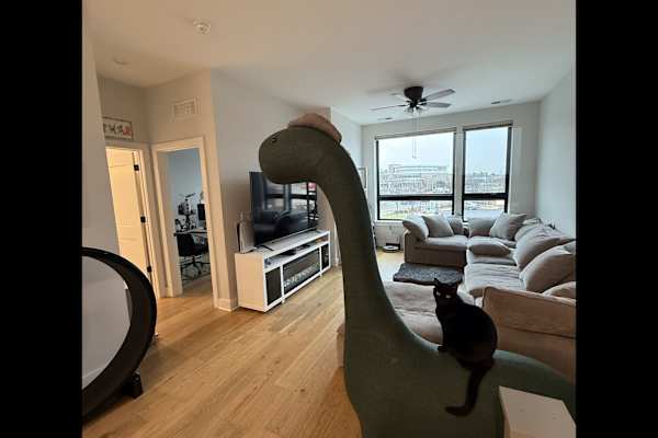 House sit in Ashburn, VA, US