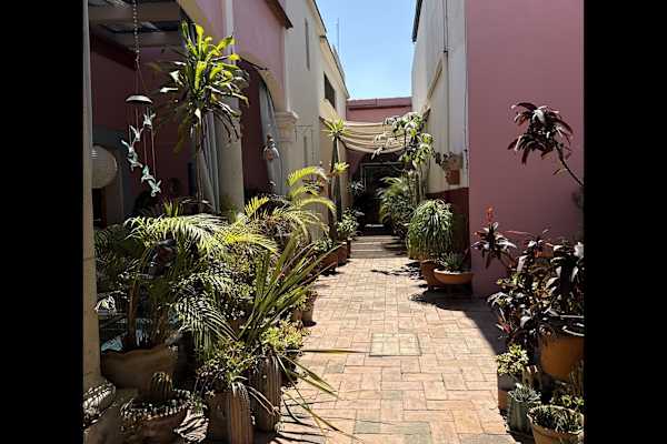 House sit in Oaxaca, Mexico