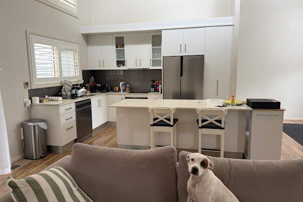 House sit in Newcastle, NSW, Australia