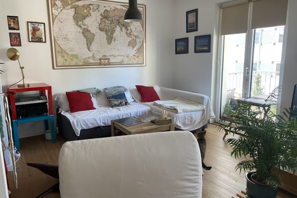 House sit in Berlin, Germany