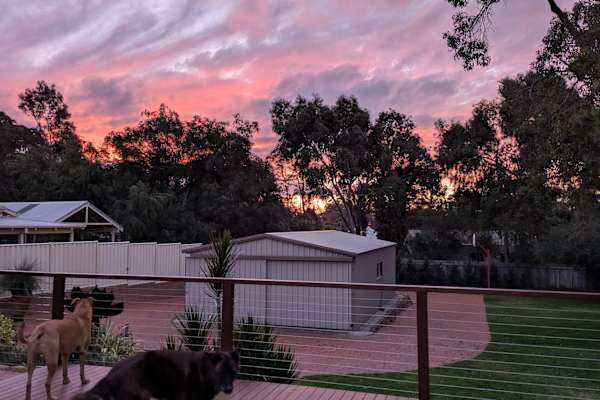 House sit in Perth, WA, Australia