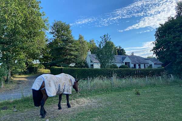 House sit in Kelso, United Kingdom