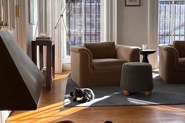 House sit in Brooklyn, NY, US
