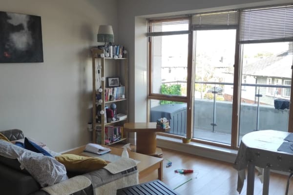 House sit in Dublin, Ireland