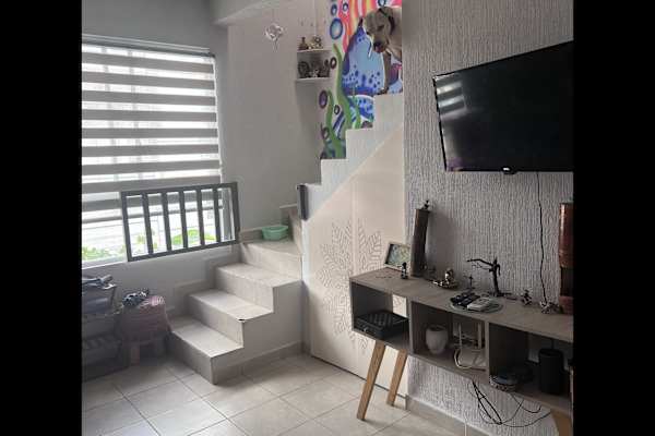 House sit in Playa del Carmen, Mexico