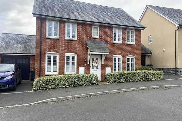 House sit in Newton Abbot, United Kingdom