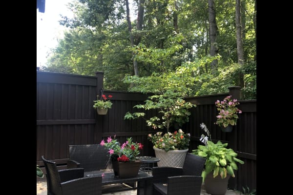 House sit in Merrifield, VA, US