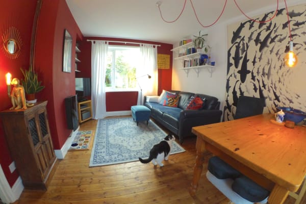 House sit in Manchester, United Kingdom