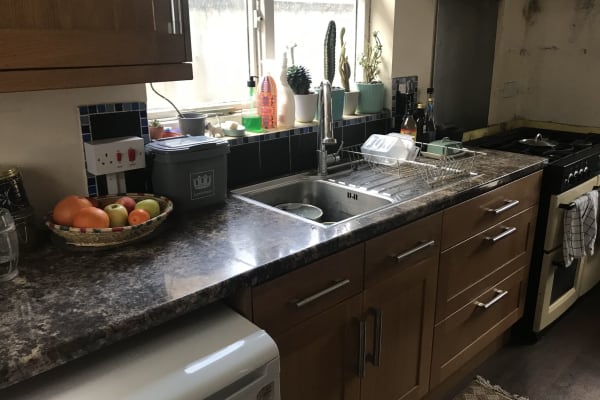 House sit in Catford, United Kingdom