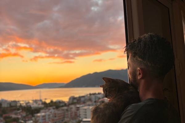 House sit in Tivat, Montenegro