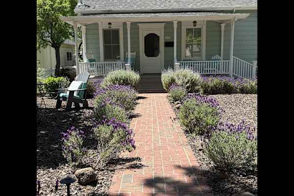 House sit in Napa, CA, US