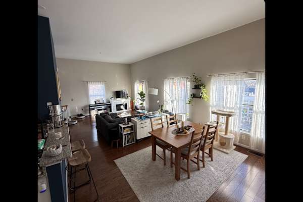 House sit in Washington, D.C., Washington, D.C., US