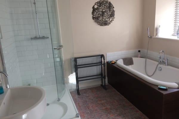 House sit in Axminster, United Kingdom