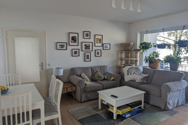 House sit in Düsseldorf, Germany