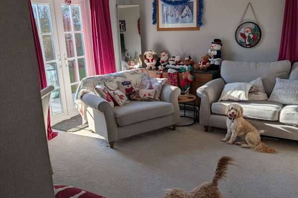 House sit in Angmering, United Kingdom