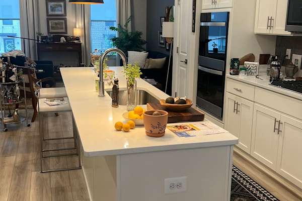 House sit in Baltimore, MD, US