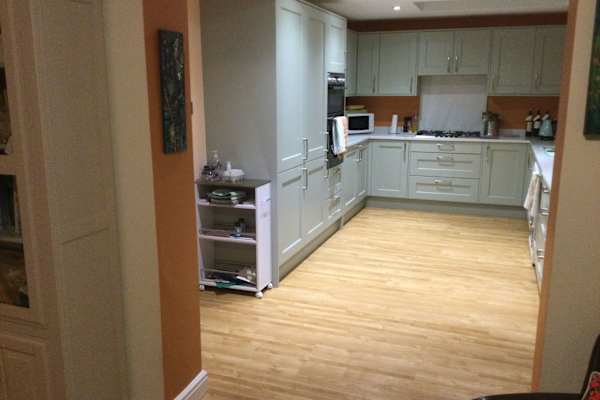 House sit in North Leigh, United Kingdom