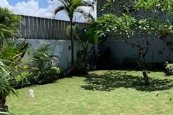 House sit in Canggu, Indonesia