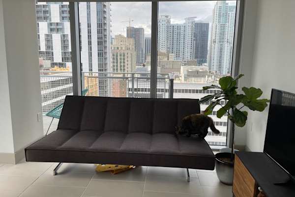 House sit in Miami, FL, US