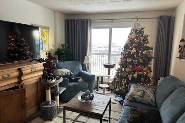 House sit in Winnipeg, MB, Canada