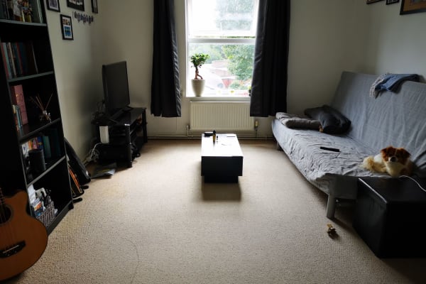 House sit in London, United Kingdom