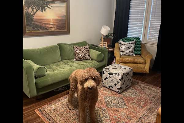House sit in Fort Worth, TX, US