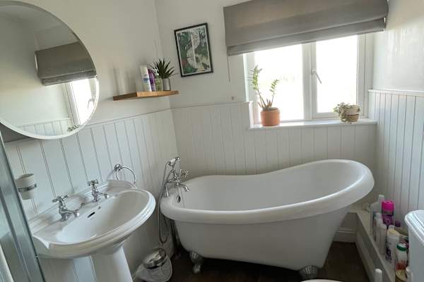 House sit in Bristol, United Kingdom